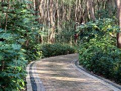 -同里国家湿地公园