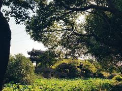 -韩湘水博园