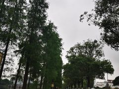 -顺峰山公园