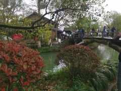 -西溪国家湿地公园