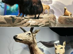 -中国湿地博物馆