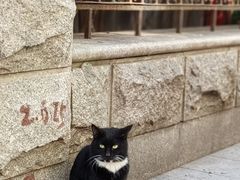-飞马旅黎黄陂路文旅街区
