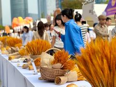 -合景·悠方(成都店)