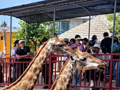 -西霞口神雕山野生动物世界