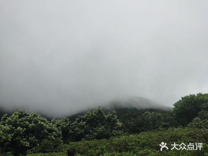 梧桐山风景名胜区图片