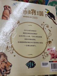 -孩子王童乐园(天津远洋乐堤港店)