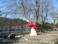 -庐山风景区花径公园