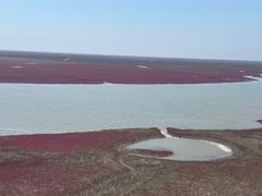 -红海滩国家风景廊道