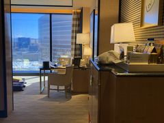 -拉斯维加斯永利酒店