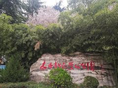-木塔寺遗址生态公园
