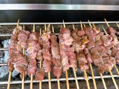 -北京上庄水库尚野露天户外自助烧烤