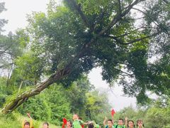 -宾果蒙特梭利托育儿童之家幼儿园(爱琴海店)