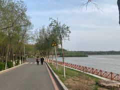 -丁香湖公园