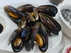 白灼鲜青口-众味海鲜大排档·活海鲜·潮汕味(南澳店)