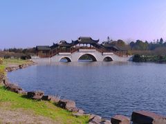 -上海海湾国家森林公园