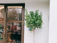 -fishtank鱼缸咖啡(三山街店)