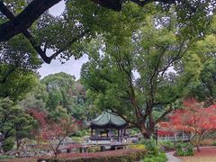 -申粤轩酒楼·三十年粤菜经典(丁香花园店)