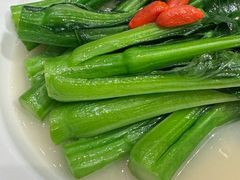 -千灯盛汇·头牌粤菜(致越优城店)