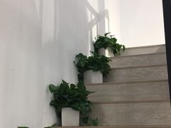 -风格style 专业烫染