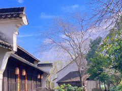 -西溪国家湿地公园