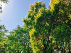 -四海公园(南山区)