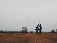 -野鸭湖国家湿地公园