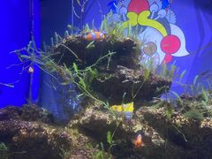 -常州海昌海洋探索馆