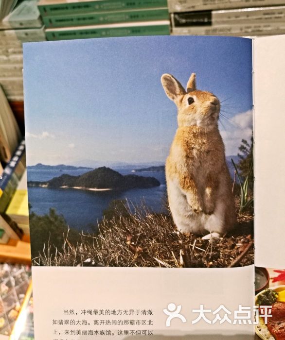 西西弗书店图片 - 第13张