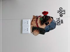-芭比堂动物医院·24小时·眼科中心(深圳中心)