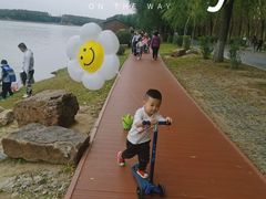 -丁香湖公园