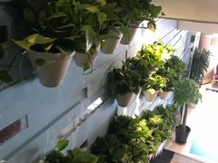 -华夏良子·足道SPA艾灸(铁道大厦店)