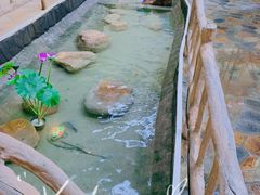 -哈尔滨太平湖温泉酒店