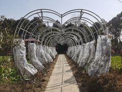 -洪湖家庭农场·团建·露营·会议