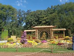 -上海共青森林公园