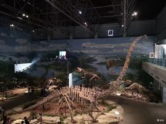 -自贡恐龙博物馆