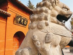 -洛阳白马寺