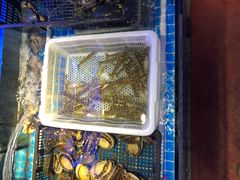 水产区-捞围鲜·港式打边炉(海阳路店)