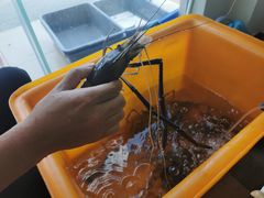 -琼大师东方烤乳猪(亚特兰蒂斯店)