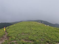 -灵山