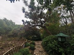 -秋霞圃