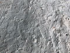 -东郊椰林