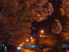 -永乐路-路侧停车场