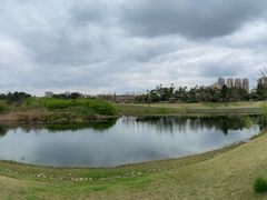 -眉山湿地公园(东坡区)