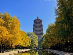 -玲珑塔公园