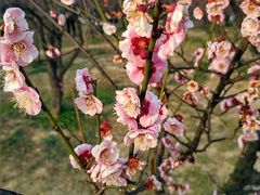 -蜀冈西峰生态公园