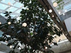 -大树餐厅(红旗街万达店)