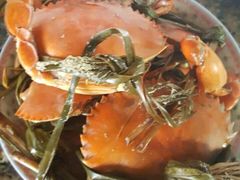 -阳江餐厅·30年老字号·粤菜海鲜大排档