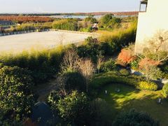 -上海崇明金茂凯悦酒店