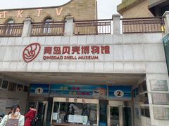 -青岛贝壳博物馆
