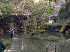 -汇龙潭